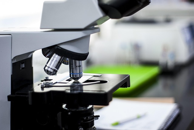 對比不同品牌有機錫T-9的純度差異對聚氨酯泡沫孔徑大小和均勻度的影響值